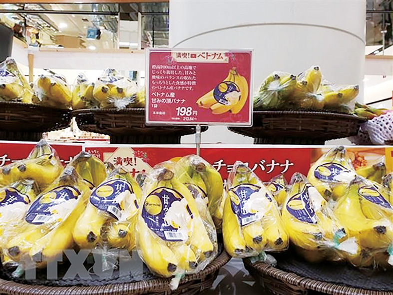 >Nông sản Việt Nam gây ấn tượng tại triển lãm quốc tế ở Nhật Bản 